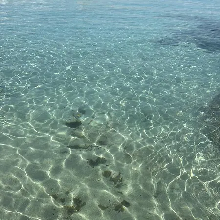 酒店 Palazzo Nur 3*