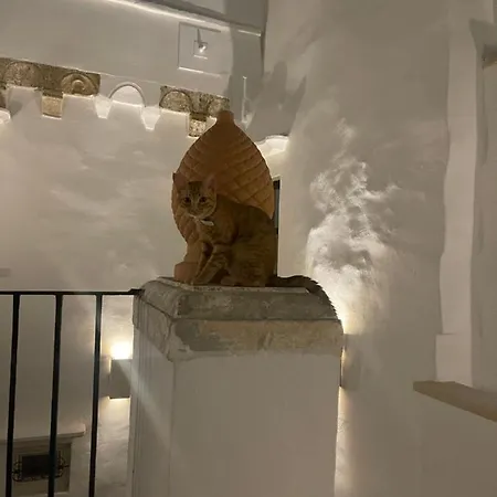 Szálloda Palazzo Nur 3*