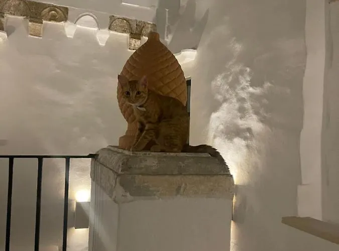 מלון Palazzo Nur 3*